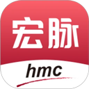 精准比分